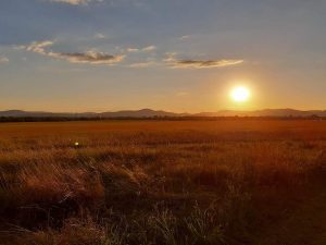 Dunakeszi repülőtér