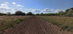 Dunakeszi repülőtér természet közelben